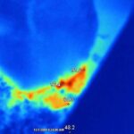 Infrared thermal imaging